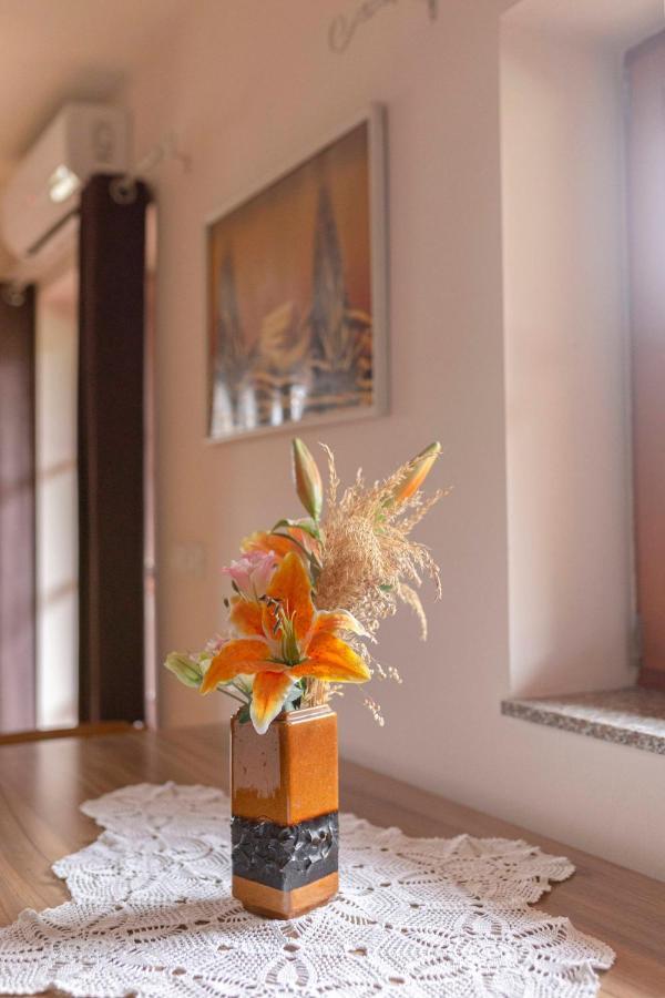 Apartma Metka メドヴォデ エクステリア 写真